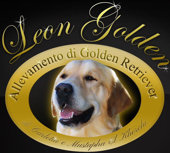 Leon Golden